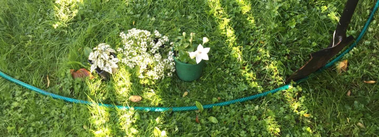 10 Ways to Re-Purpose the Old Hose in Your Home