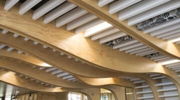 5 New Zealand Businesses that Came Out of a Garage