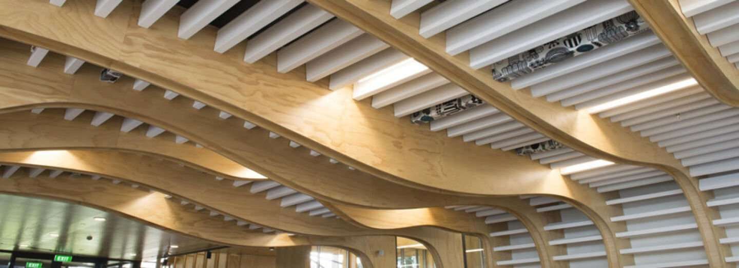 5 New Zealand Businesses that Came Out of a Garage