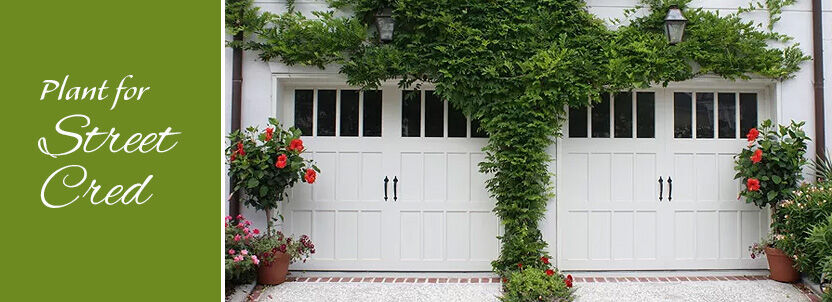 10 Planting Ideas to Boost Garage Kerb Appeal