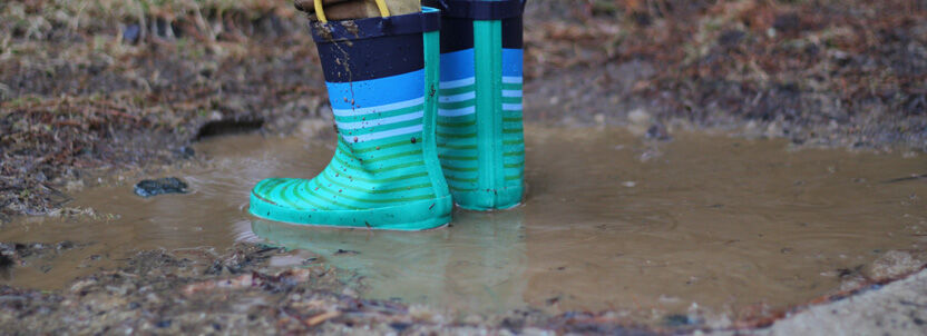 Prep for New Zealand Winter: 5 Steps for the Yard