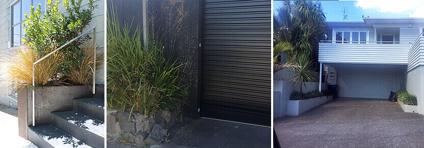 Plants outside the garage door