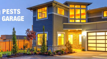 Take Steps to Keep Pests out of New Zealand Garages