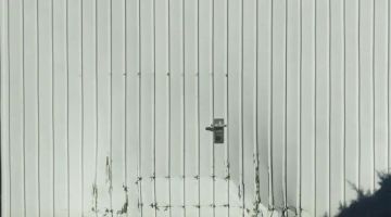 The True Cost of a Cheap Garage Door Might Surprise You